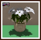 Christmas - White Poinsettia Round Vase - Silver