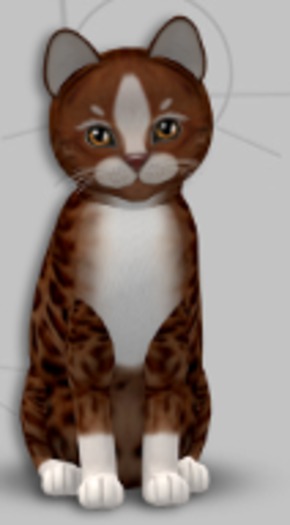 KittyCatS Box - Genesis Ginger II/1T/Female/TOY