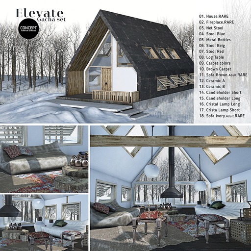 Concept} *10. Elevate. Brown Carpet