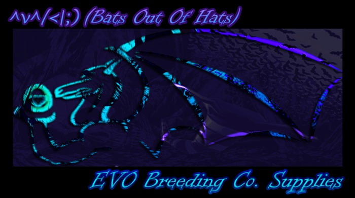 EVO Breeding Co. Supplies - T4 Dried Mushrooms (x5)