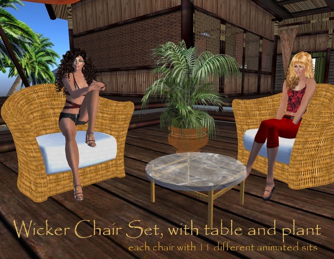 WICKER CHAIR SET + table, plant