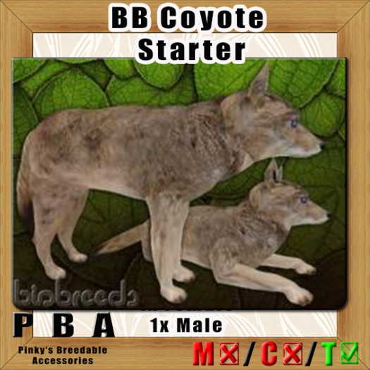 PBA - BB Coyote Starter Box