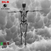 Skeletton Avatar boxed