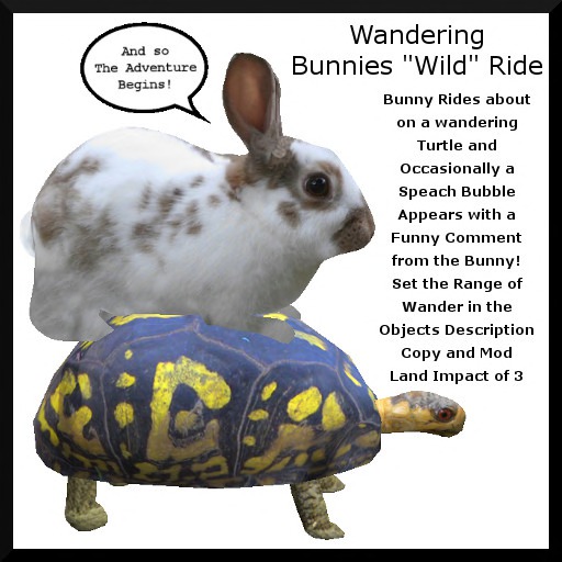 Wandering Bunnues Wild Ride- Boxed