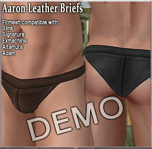 Aaron Mesh Briefs T.E.D.// - DEMO -Boxed