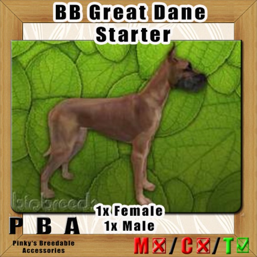 BB Great Dane Pair Starter