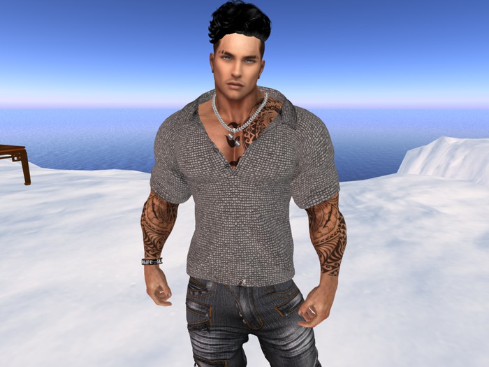 POLO SHIRT MESH P1