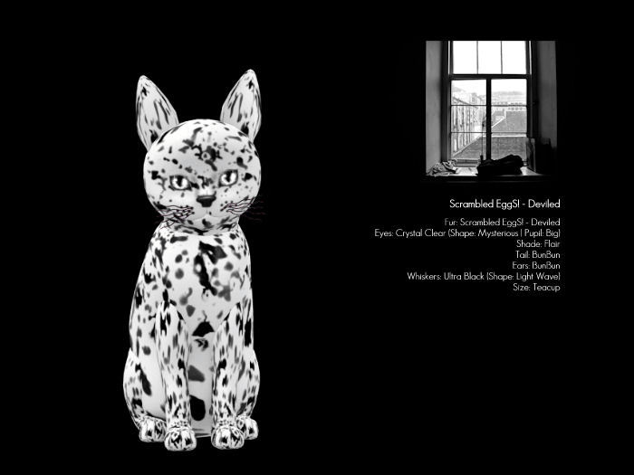 KittyCatS Box - Scrambled EggS! - Deviled - Girl TeaCup