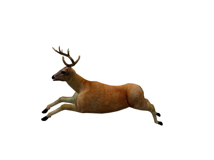 Migizi's Flying Deer