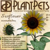 PlantPet Seed [Sunflower *Moonshadow*]