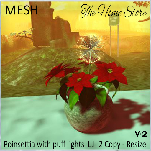 Christmas Poinsettia