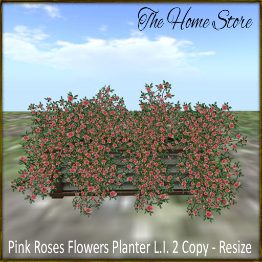 Flowers Planter - Pink Roses Flowers Planter 