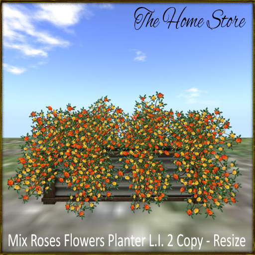 Flowers Planter -  Mix Roses Flowers Planter 