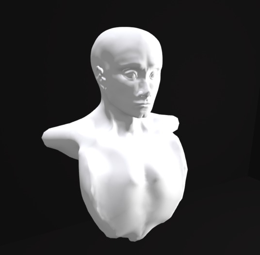 Unrigged test face. Full perm