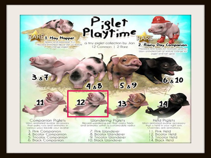 JIAN Playtime Piglets 12. Bicolor Held BOX