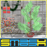 SMASH - Miniature Christmas Tree in Bowl (Green)