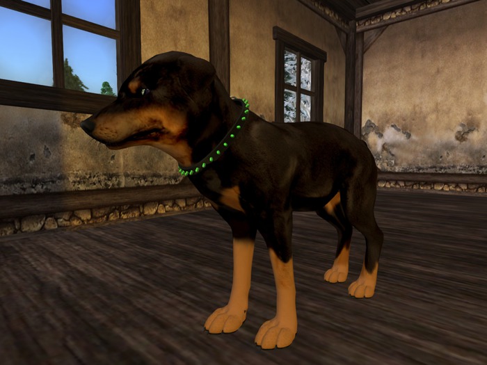 ~DMF~TwiRottiShape