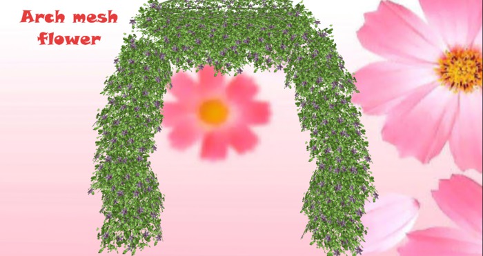 arche orchidee lierre