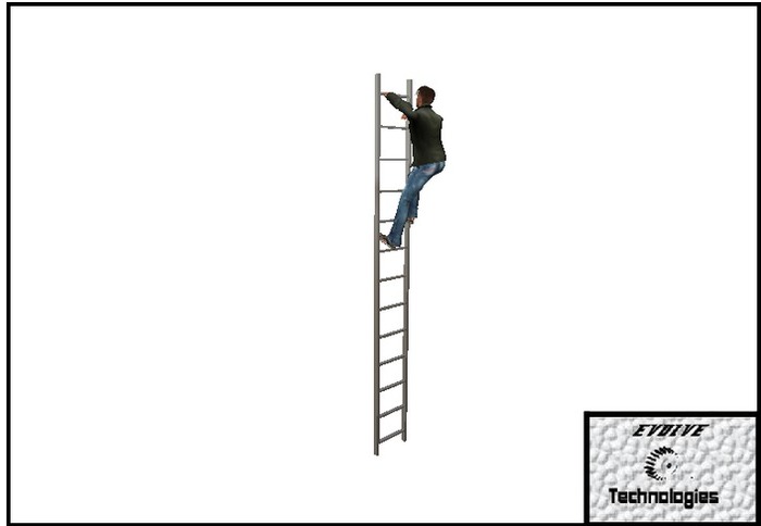 Steel Ladder - Climbable - 7.5m