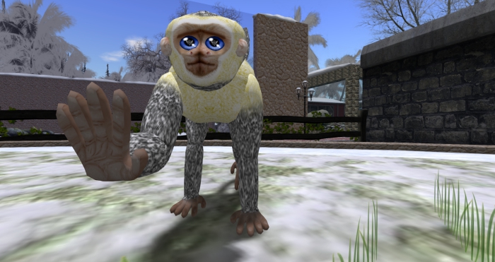 UB Capuchin Baby Box