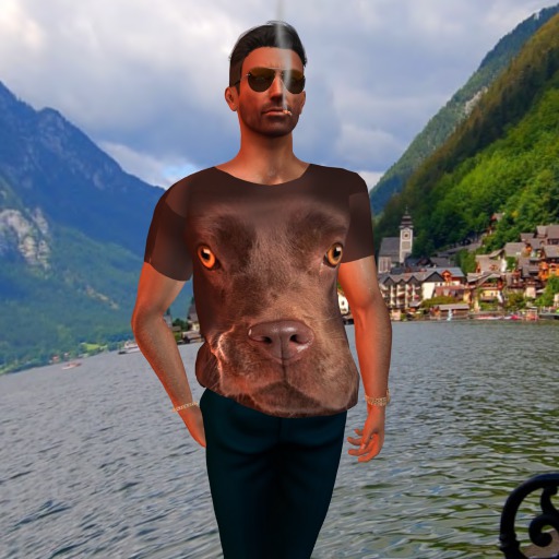 AHD Brown Dog Shirt