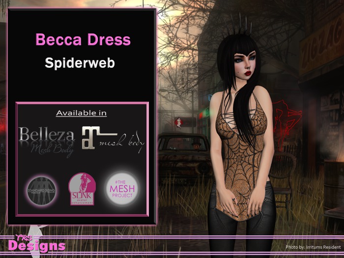 Becca Dress Spiderweb