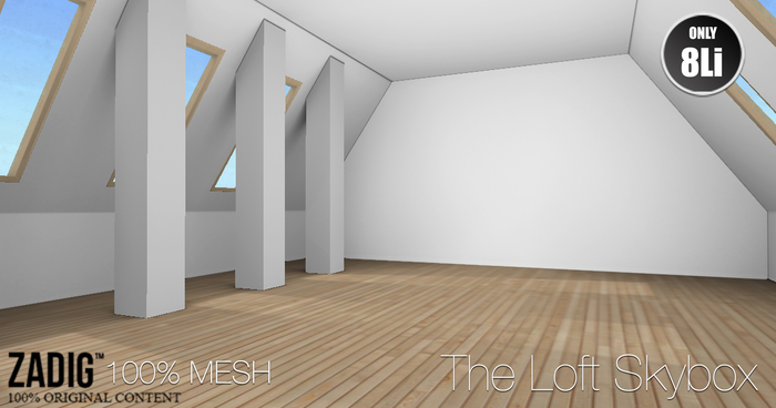 ZADIG - The Loft Skybox