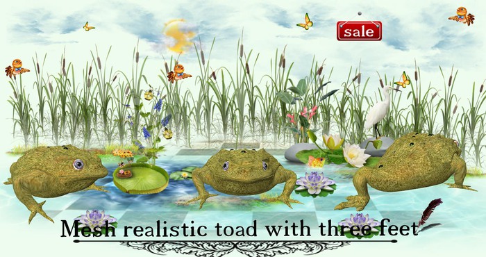 Mesh toad with three feet v. 3