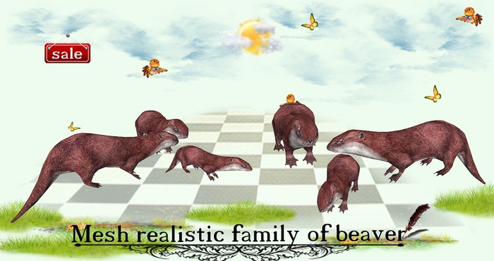 Family of beaver