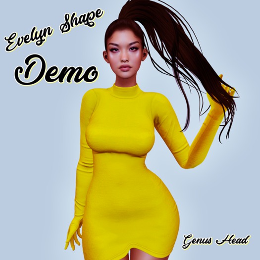 Evelyn shape demo