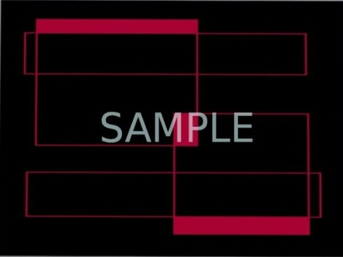 <NC>  black & red rug 2*