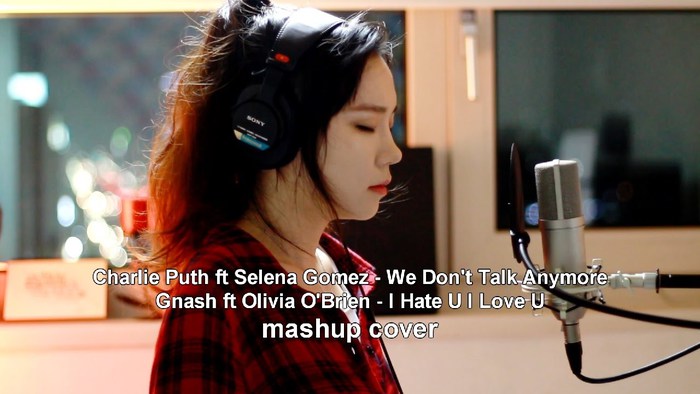 We Don't Talk Anymore & I Hate U I Love U - MASHUP
