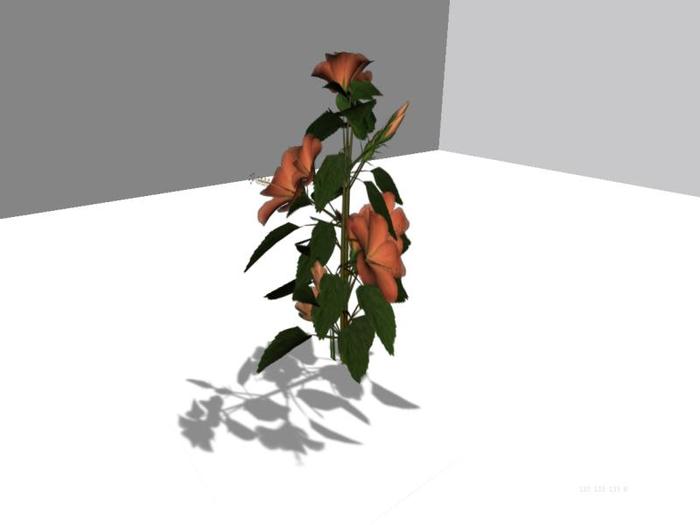 ....byDeZyne - Hibiscus 1--Copy