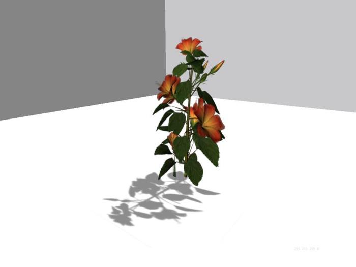 ....byDeZyne - Hibiscus 2--Copy