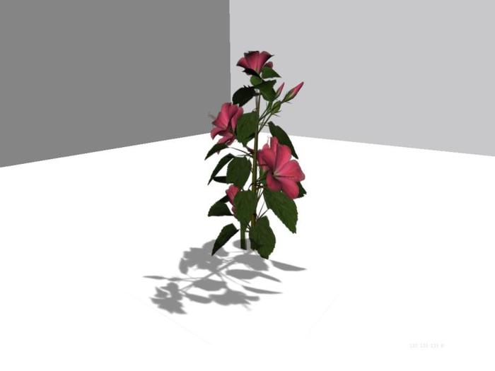 ....byDeZyne - Hibiscus 3--Copy