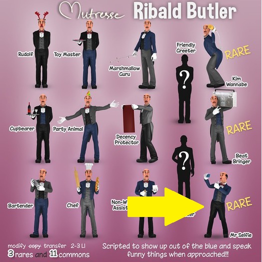 Ribald Butler - Mr Selfie (RARE)