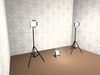 Snapshot 002