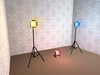 Snapshot 003