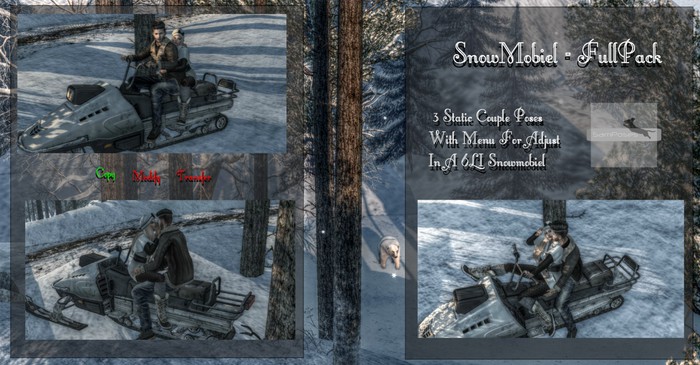 SnowMobiel