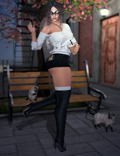 CATS GIRL POSE [VOGUE] UnPack