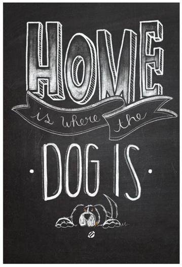 Home Is Where the Dog Is