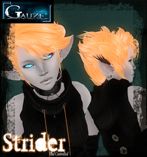 [Gauze] Strider - ((DEMO))