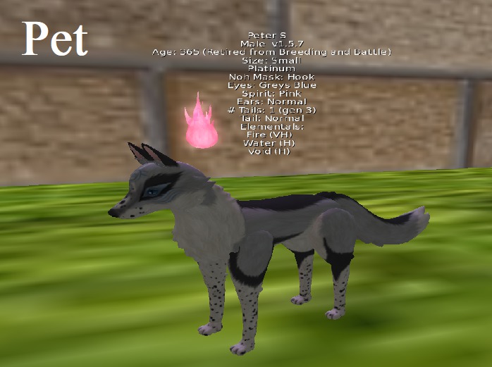 C & D Enterprises Kitsune Platinumm