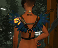 P261 AVIA wings blue