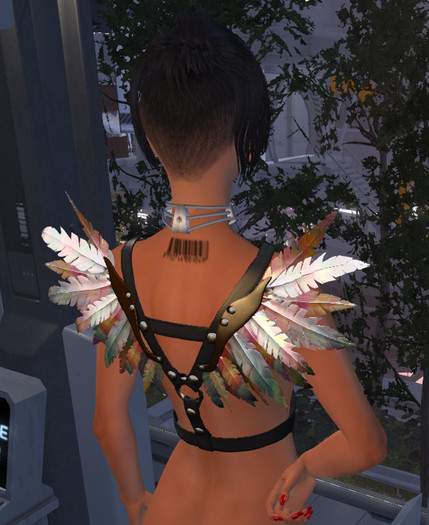 P261 AVIA wings stained