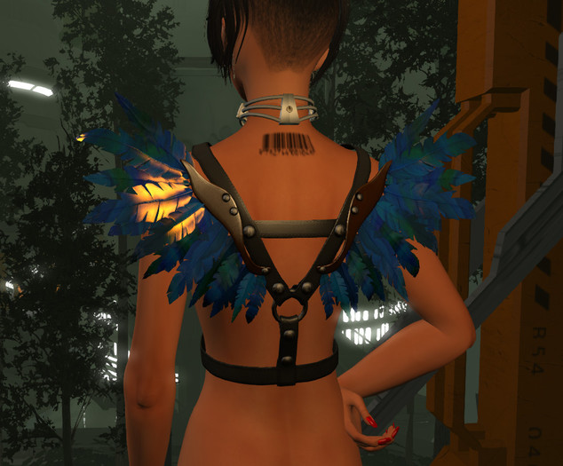 P261 AVIA wings DEMO