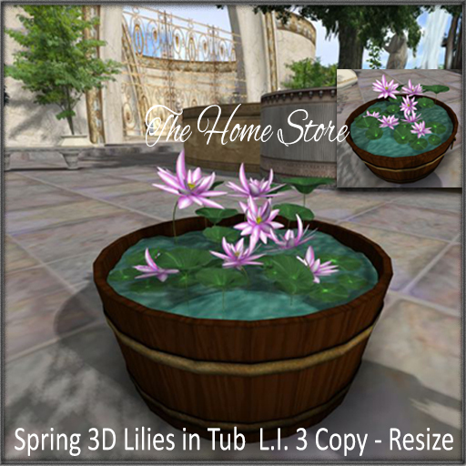 water Lily
