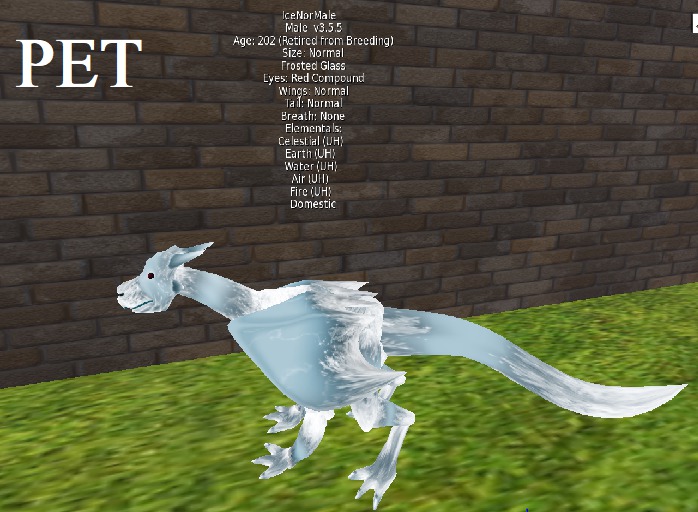 C & D Enterprises Dragon Florest Glass