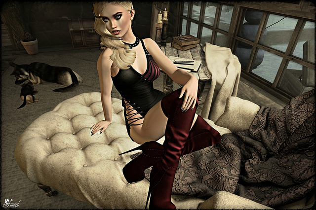 pose : En quelques mots