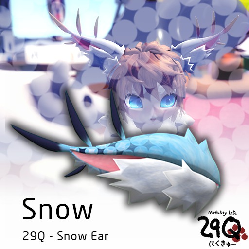[29Q] Snow Ear (Snow)